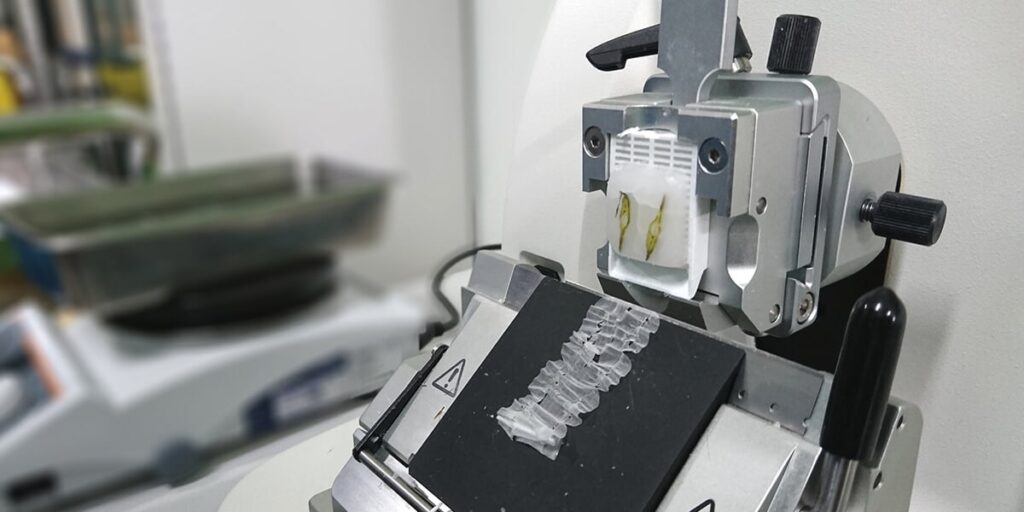 Keeping Safe When Using a Microtome Histology Equipment