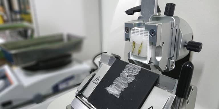 Keeping Safe When Using a Microtome
