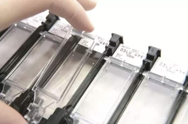 bond-max-covertile bond-max-covertile