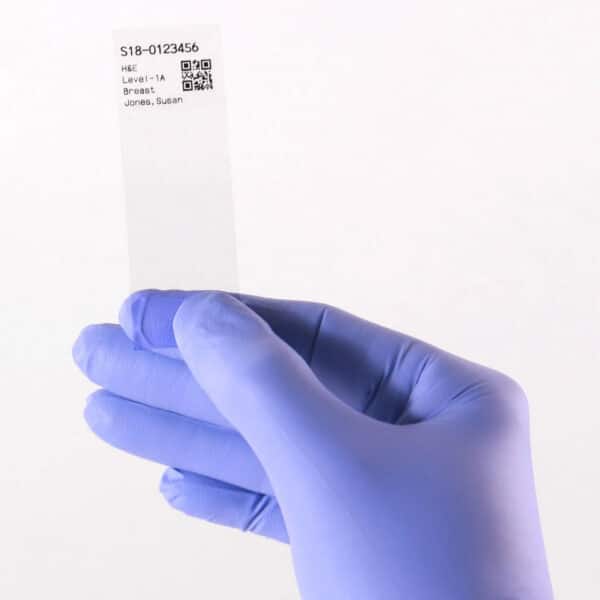 espo-ii-Hand-with-Slide espo-ii-Hand-with-Slide