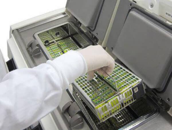 histocore-peloris-3-dual_retorts histocore-peloris-3-dual_retorts